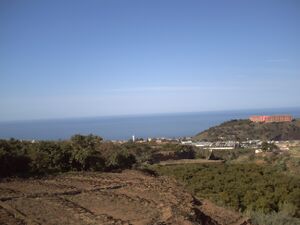 Lascandias sincalima3.JPG