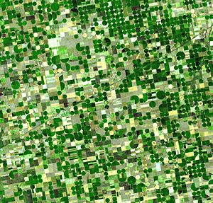 Crops Kansas AST 20010624.jpg