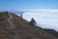 GR-131 Ruta de los Volcanes La Palma 20080606b.jpg