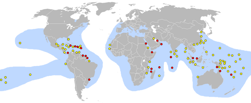 Archivo:Lieux pontes tortue ecaille.png
