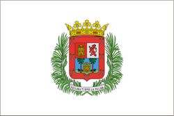 Banderalaspalmasgc.jpg