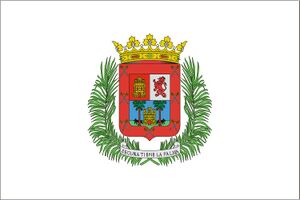 Banderalaspalmasgc.jpg