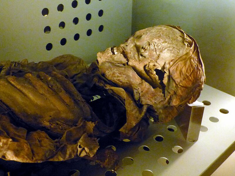 Archivo:MNH - Mumie Frau.jpg