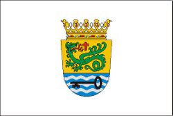 Bandera puerto de la cruz.jpg