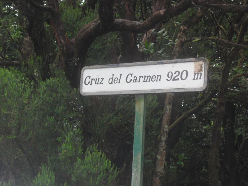 Archivo:SAM 0812.jpg