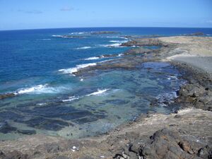 Selvagem Pequena - 1ago04.jpg