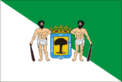 Bandera valsequillo.png
