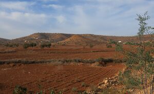 Landscape east of Biougra.JPG