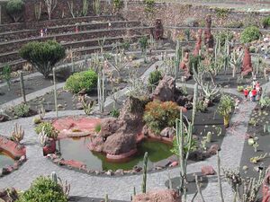 Lanzarote Jardin de Cactus Kaktusgarten.jpg