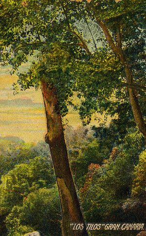Los Tilos.jpeg