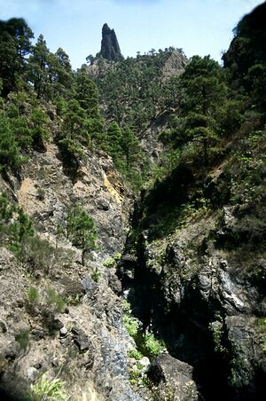 06 561 Barranco Almendro armago.jpg